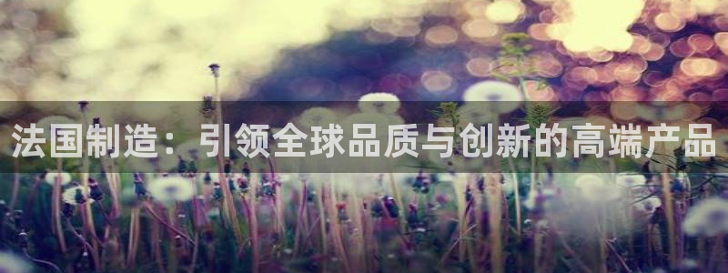 彩神8官网版是正规的吗：法国制造：引领全球品质与创新的高端产品