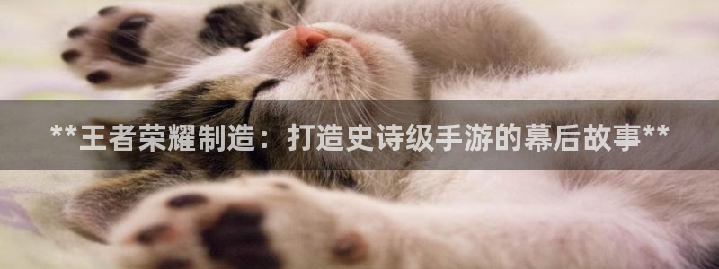 彩神vlll官网网上购彩：**王者荣耀制造：打造史诗级手游的
