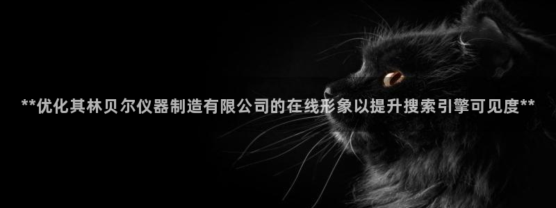 彩神网正规吗：**优化其林贝尔仪器制造有限公司的在线形象以提