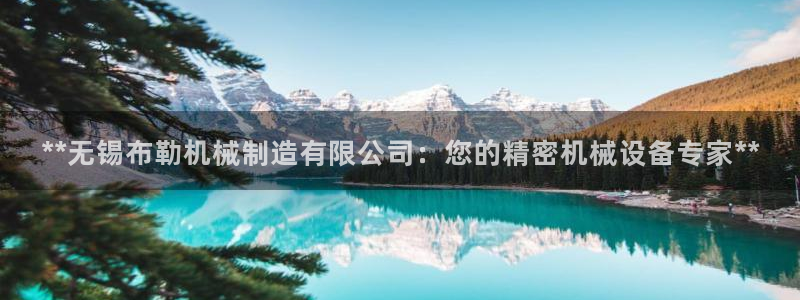 彩神vip购彩大厅：**无锡布勒机械制造有限公司：您的精密机械设备专家**