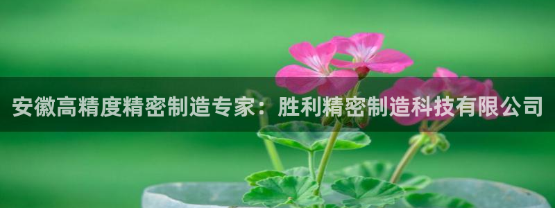 彩神vl官网：安徽高精度精密制造专家：胜利精密制造科技有限公司