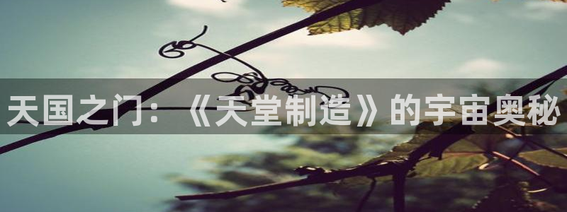 彩神购彩-购彩大厅入口下载