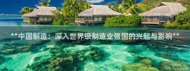 彩神xapp官方网站：**中国制造：深入世界级制造业强国的兴起与影响**