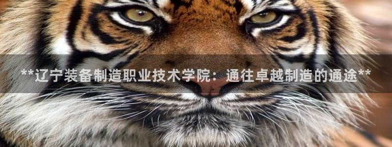 彩神v秘聊号码：**辽宁装备制造职业技术学院：通往卓越制造的通途**