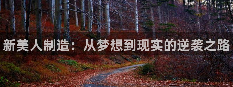 彩神盈利图片：新美人制造：从梦想到现实的逆袭之路