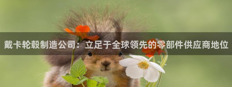 彩神大发云：戴卡轮毂制造公司：立足于全球领先的零部件供应商地位