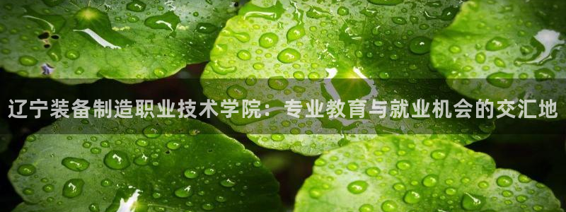 彩神争霸官方下载2017：辽宁装备制造职业技术学院：专业教育与就业机会的交汇地