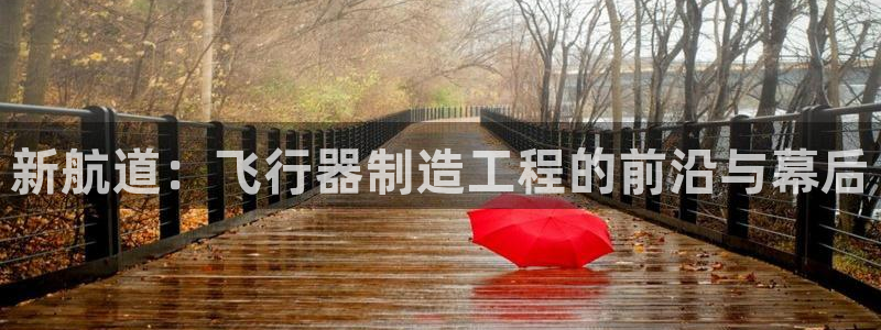 天天赢彩神：新航道：飞行器制造工程的前沿与幕后