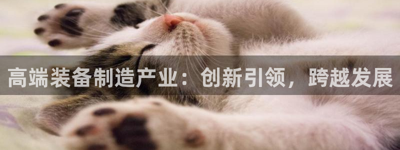 彩神v8手机客户端在哪：高端装备制造产业：创新引领，跨越发展