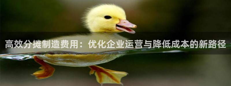 彩神V购彩大厅：高效分摊制造费用：优化企业运营与降低成本的新路径
