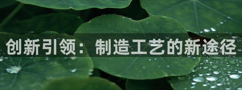 彩神 好 平台：创新引领：制造工艺的新途径
