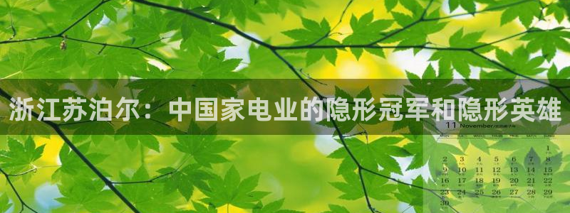 彩神vll官网在线登录：浙江苏泊尔：中国家电业的隐形冠军和隐