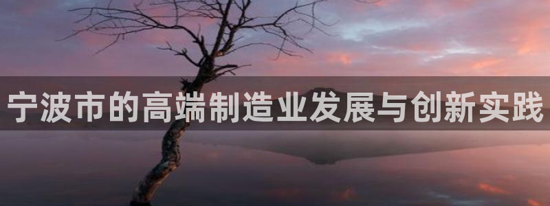 彩神vip官方网站：宁波市的高端制造业发展与创新实践