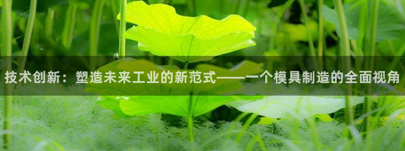 彩神ll能赚钱吗