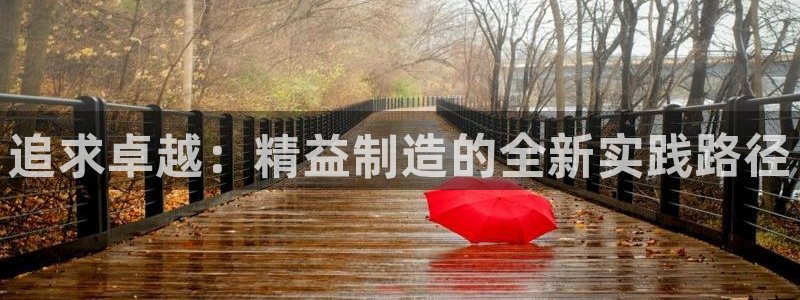 彩神网正规吗：追求卓越：精益制造的全新实践路径