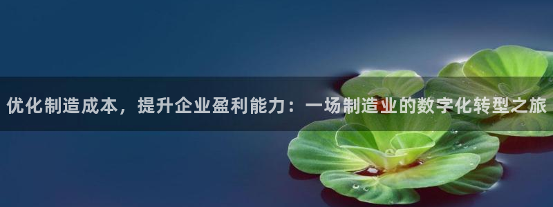 彩神ii官方网：优化制造成本，提升企业盈利能力：一场制造业的数字化转型之旅