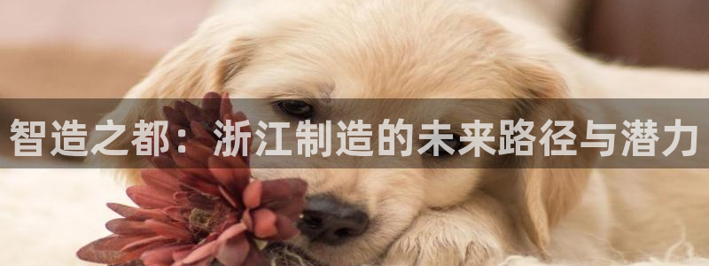 天天赢彩神：智造之都：浙江制造的未来路径与潜力