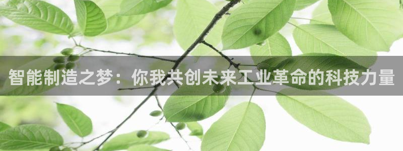 彩神vll购彩大厅：智能制造之梦：你我共创未来工业革命的科技力量