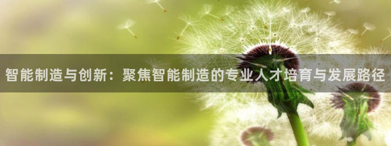 大发彩神争：智能制造与创新：聚焦智能制造的专业人才培育与发展路径