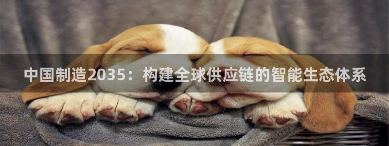 天天赢彩神：中国制造2035：构建全球供应链的智能生态体系