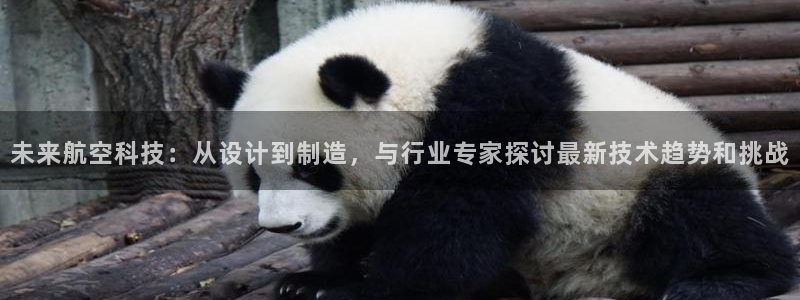 彩神ios下载：未来航空科技：从设计到制造，与行业专家探讨最新技术趋势和挑战