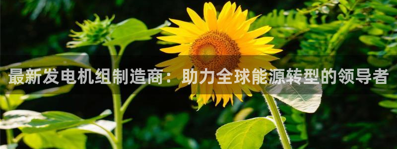 彩神用户登录：最新发电机组制造商：助力全球能源转型的领导者