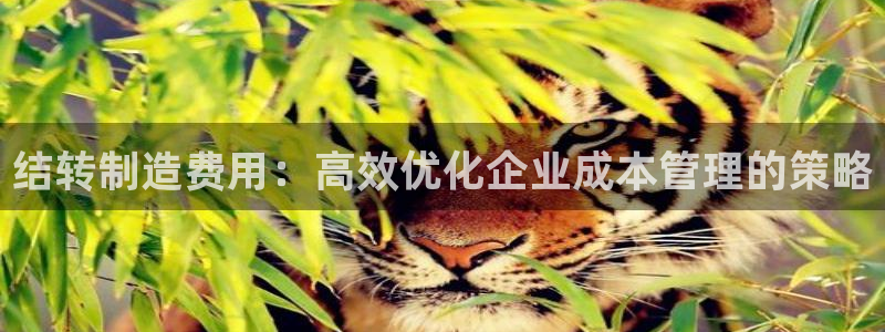 彩神争霸官方下载：结转制造费用：高效优化企业成本管理的策略