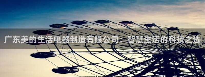 下载彩神通关注码：广东美的生活电器制造有限公司：智慧生活的科技之选