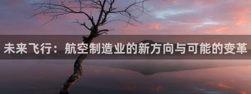 彩神VII官方版