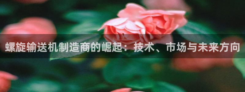 彩神VII购彩中心