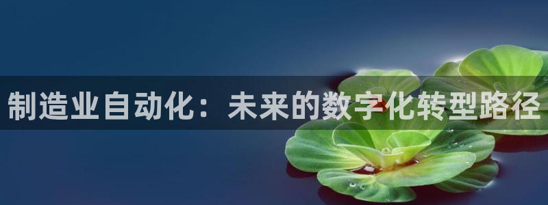 下载彩神争霸谁与我争锋：制造业自动化：未来的数字化转型路径