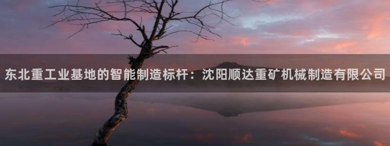 大发彩神官网下载：东北重工业基地的智能制造标杆：沈阳顺达重矿机械制造有限公司