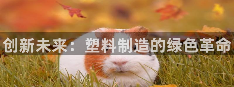 彩神iv是正规平台吗?：创新未来：塑料制造的绿色革命