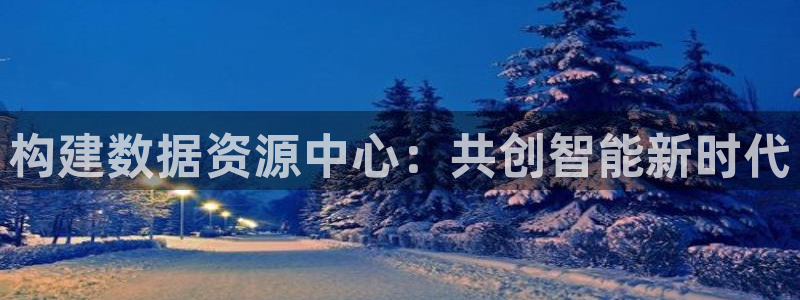 彩神Vll购彩大厅：构建数据资源中心：共创智能新时代