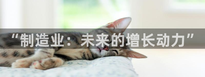 彩神盈利图片：“制造业：未来的增长动力”