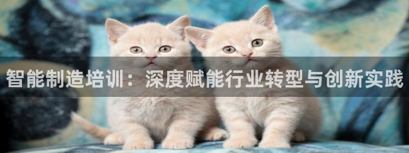彩神8官网500：智能制造培训：深度赋能行业转型与创新实践