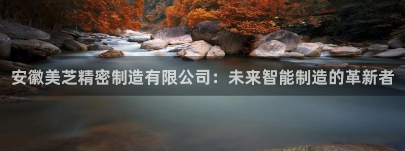 彩神购彩-购彩大厅入口计划群：安徽美芝精密制造有限公司：未来