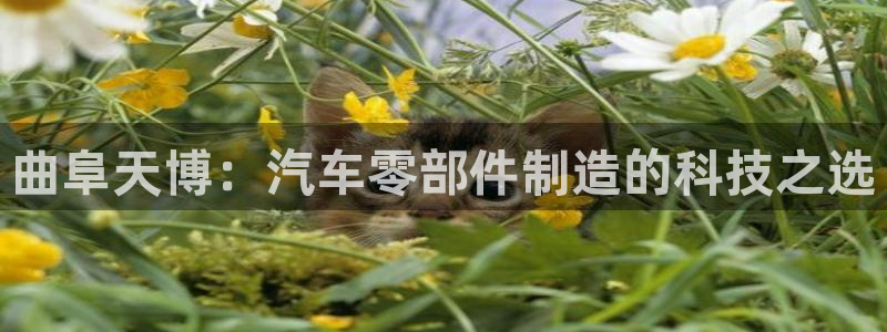 彩神ix官网是哪个公司的：曲阜天博：汽车零部件制造的科技之选