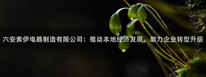彩神8官网500：六安索伊电器制造有限公司：推动本地经济发展，助力企业转型升级