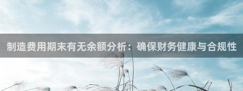 彩神v争霸是啥：制造费用期末有无余额分析：确保财务健康与合规性