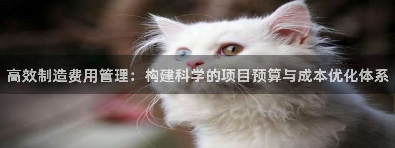 彩神v8iii：高效制造费用管理：构建科学的项目预算与成本优化体系