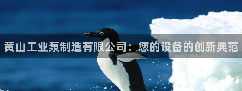 彩神输的钱是赌博还是诈骗：黄山工业泵制造有限公司：您的设备的创新典范