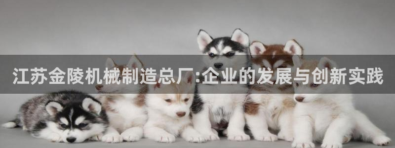 彩神v8是一个什么平台