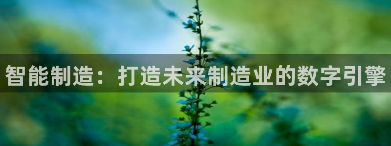 天天赢彩神