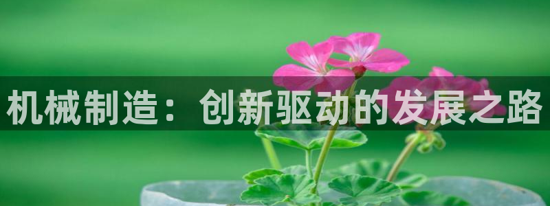 彩神v8下载app5.0