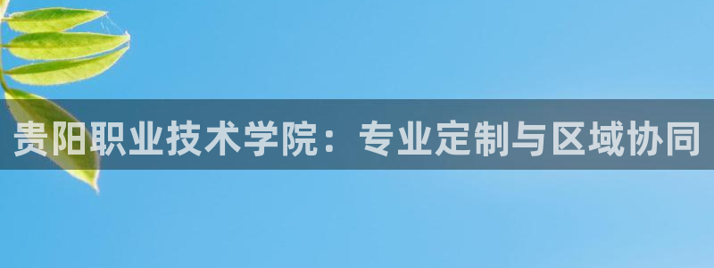 彩神团队是真的吗：贵阳职业技术学院：专业定制与区域协同