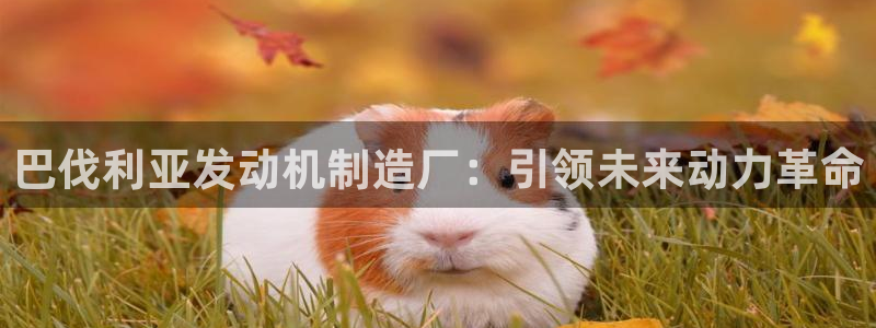 彩神到底能不能赚钱：巴伐利亚发动机制造厂：引领未来动力革命