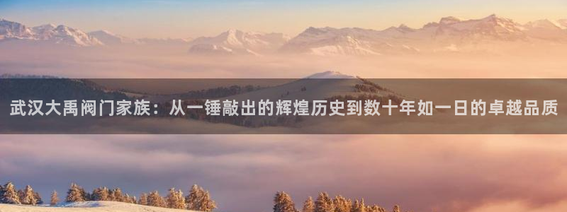 彩神v争霸是啥：武汉大禹阀门家族：从一锤敲出的辉煌历史到数十