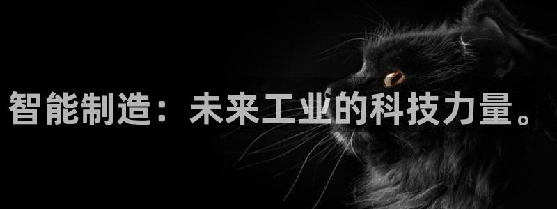 彩神v下载安装：智能制造：未来工业的科技力量。