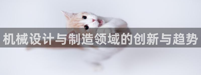 彩神iv是正规平台吗?